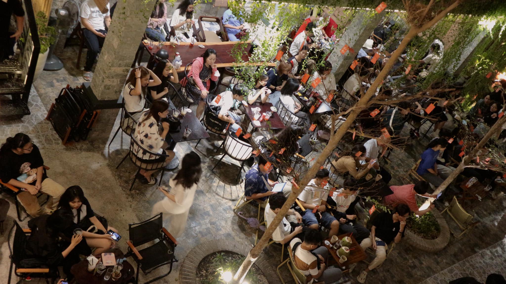 Lan Việt Coffee & Tea