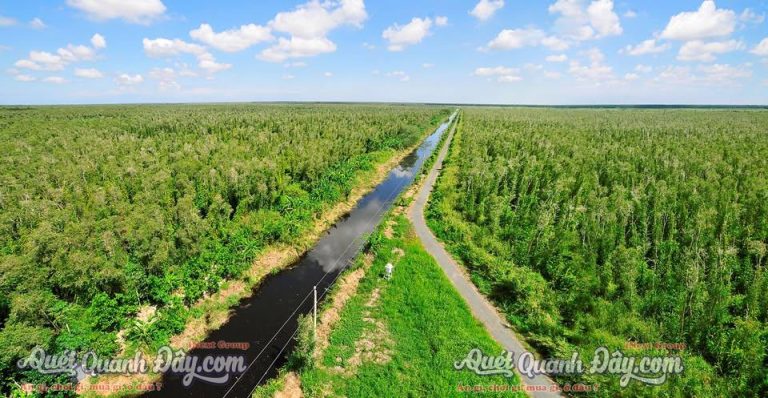 Khu du lịch sinh thái Sông Trẹm