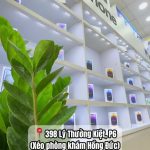 GỎI ĐU ĐỦ SU SU